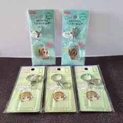 DAISO フォトキーホルダー 5個セットのサムネイル