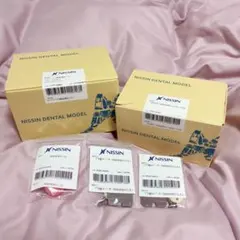 2025年最新】頬粘膜付き顎模型の人気アイテム - メルカリ