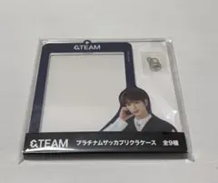 &TEAM プラチナムザッカプリクラケース HARUA クレーンゲーム