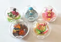 ポケモン テラリウムコレクション 5種セット