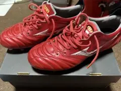 モレリアネオ4 JAPAN ルビーレッド　25.0