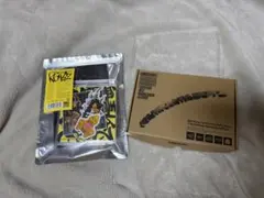 Item thumbnail for item 8e0b4369-6054-4c56-b019-7e97bd2e03b3