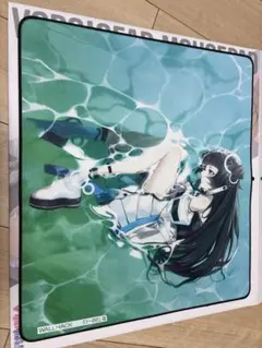 wallhack ミステリーボックス シークレット 布製マウスパッド 未開封品