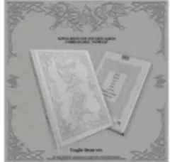 封入特典全てアンシン　ALD1 UNBREAKABLE 少年BEAST