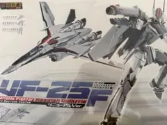 DX超合金 VF-25Fメサイアバルキリー（早乙女アルト機） リニューアルVer