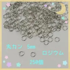 丸カン ロジウム5mm