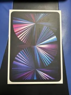 【ジャンク品】iPad Pro 11インチ (第3世代) スペースグレー【水没】