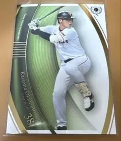 Item thumbnail for item da84f990-1060-45b1-830b-0bb3eb5d7931