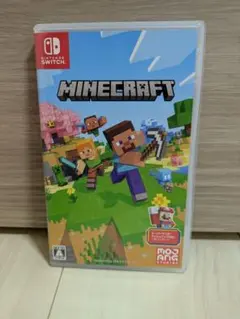 Minecraft Nintendo Switch