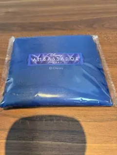 【新品未使用】アンバサダーホテル　アメニティ　エコバッグ、ネイビー