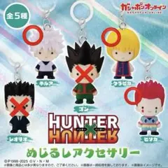 コンプ‼️】HUNTER×HUNTER めじるしアクセサリー - メルカリ