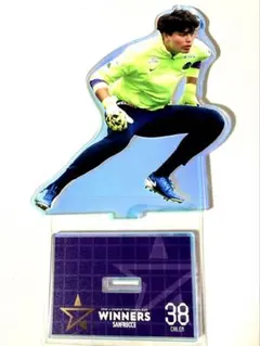 サンフレッチェ広島　ルヴァンカップ優勝記念オーロラアクリルスタンド　★ ヒル