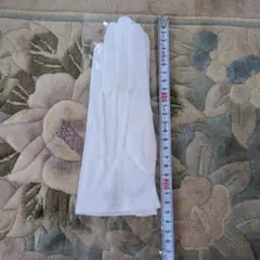 Item thumbnail for item 050dee34-c279-43be-8109-3189b861ea61