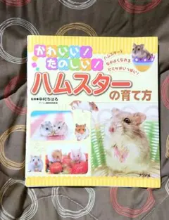 Item thumbnail for item ffad81f4-8480-4c75-9598-667b29a55ae2