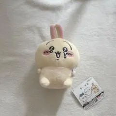 2025年最新】泣いちゃった うさぎの人気アイテム - メルカリ