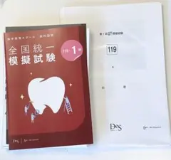 DES 必修問題 全国模擬試験 1回 2回セット DES 必修問題 全国模擬試験 1回 2回セット 2025年最新】des必修