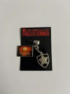 2026年最新】b'z endless summerの人気アイテム - メルカリ