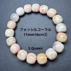 2025年最新】フォッシルコーラルの人気アイテム - メルカリ