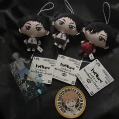 ハイキュー！！　ぬいぐるみちゃーむ　マスコット　ぬいぐるみ マツキヨ コラボ