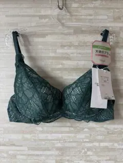 B70」トリンプ 天使のブラ スリムライン581 ノンワイヤーブラジャー