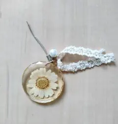 Item thumbnail for item 69b2bb8a-d266-48a7-8711-ca167ee21ecf