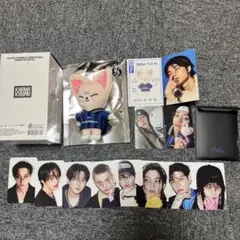 スキズ KARMA SKZOO VER. キーリング フォクシニー　トレカ