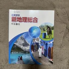 新地理総合 帝国書院 A4サイズ 地理 教科書 参考書 紛失用