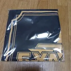 Item thumbnail for item 44550982-5c8a-44c6-820a-24c3ded5385c