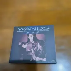 WANDS時の扉