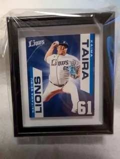 Item thumbnail for item 6ab39a77-7ec3-4b8a-9990-e3004144ff4a