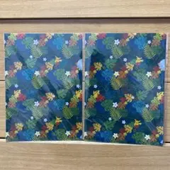 劇場版 ポケットモンスター ココ A4 クリアファイル リーフ ピカチュウ