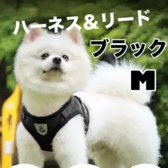 Item thumbnail for item 7085d682-6ebd-422c-ba13-1be4bd734d1a