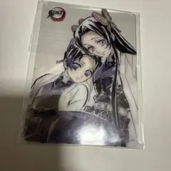 鬼滅の刃 柱稽古編 アイキャッチビッグポスター 胡蝶しのぶ カナエ