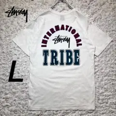 『stussy』 Tシャツ ビッグロゴ　TRIBE USA ホワイト　【L】