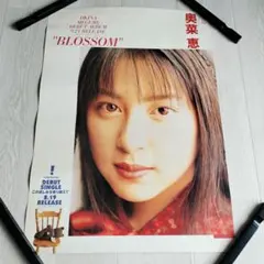 ☆バラ売り不可☆【美品 B2ポスター11枚セット！！】三枝夕夏 IN db