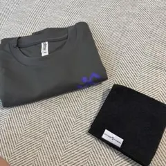ANYTIME FITNESS Tシャツ Lサイズ　ハンドタオル付き