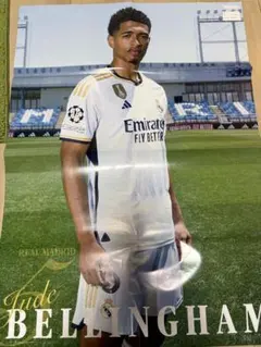 Item thumbnail for item a3b44996-0fc0-4049-954d-abad12505004