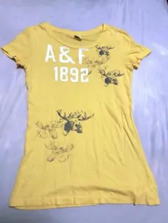 Abercrombie & Fitch イエロー Tシャツ M