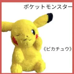 【美品】《未使用》ポケットモンスター ピカチュウ ぬいぐるみふわふわ