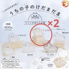 うちの子のけだまだま 犬 プードル 2個