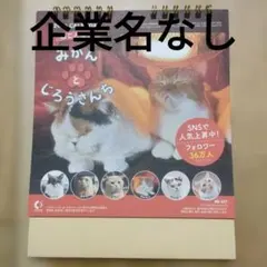 最終値下げ！新品！2026年 卓上カレンダー ねこと生活 みかんとじろうさんちのサムネイル
