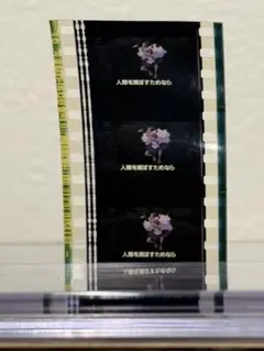 【貴重】もののけ姫 劇場予告編用 生フィルム スタジオジブリ 貴重】もののけ姫 劇場予告編用 生フィルム スタジオジブリ - メルカリ