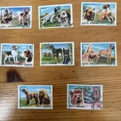 みかんちゃん(^-^)様 リクエスト 6点 まとめ商品