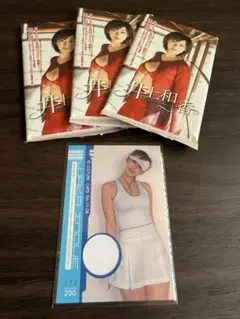 井上和香 コスチュームカード トレーディングカード