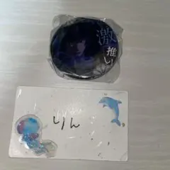 2025年最新】与謝野晶子 缶バッジの人気アイテム - メルカリ