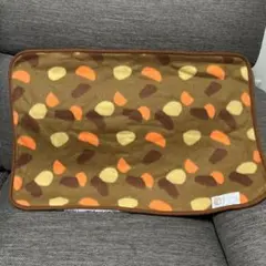 カレーハウスCoCo壱番屋　カレーライス　ブランケット　非売品　ONWARD