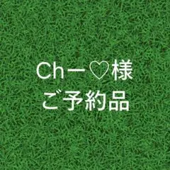 【 Chー♡様 ご予約品 】