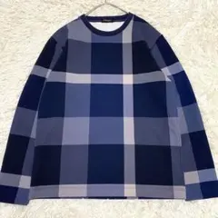 【未使用級✨】ブラックレーベルクレストブリッジ スウェット チェック柄 青系 M