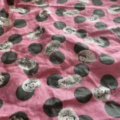 ハリネズミ生地はりねずみ生地水玉生地