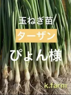 2026年最新】ターザン 苗の人気アイテム - メルカリ